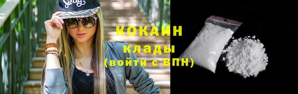 бошки Белокуриха