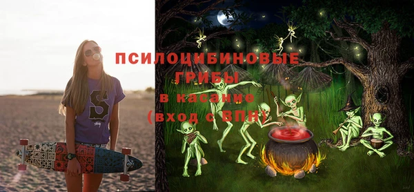 бошки Белокуриха